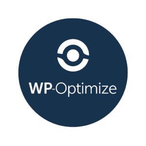 Wp Otimizer