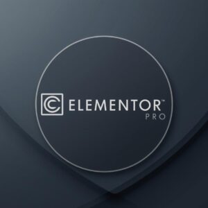 Elementor Pro